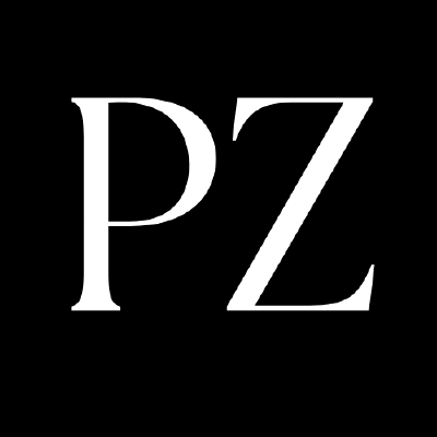 Phantom Zone Logo